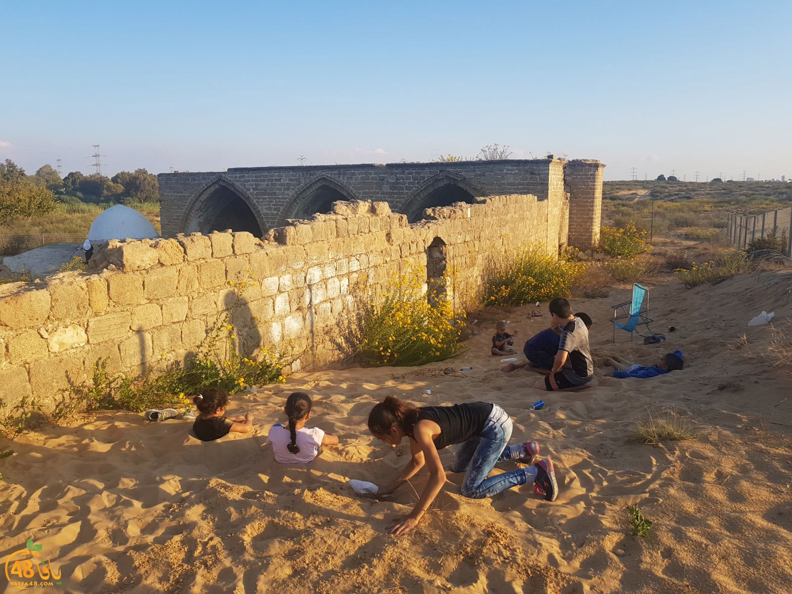 robenerejq (35).jpeg